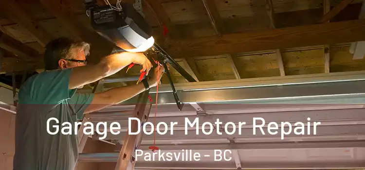  Garage Door Motor Repair Parksville - BC