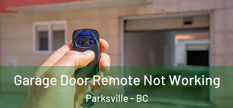  Garage Door Remote Not Working Parksville - BC