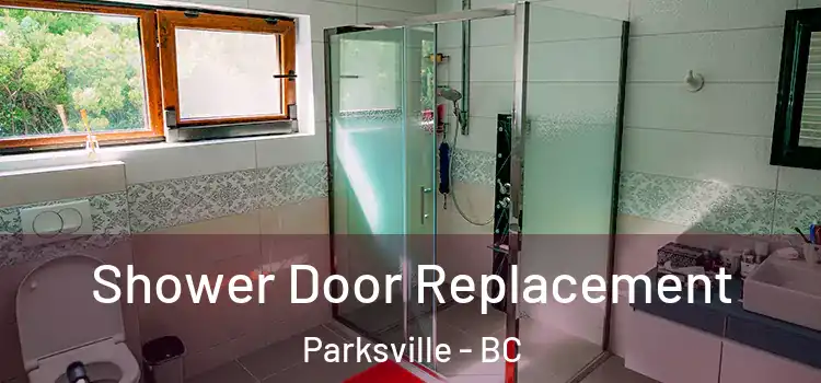 Shower Door Replacement Parksville - BC