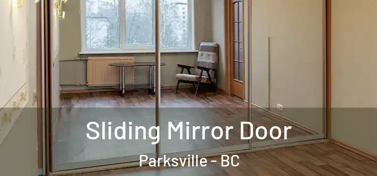 Sliding Mirror Door Parksville - BC
