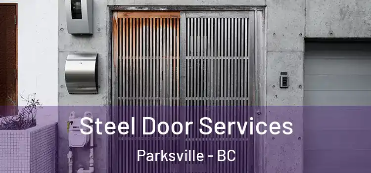  Steel Door Services Parksville - BC